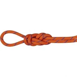 Mammut 9.0 Alpine Sender Dry Rope 60m sunrise ice