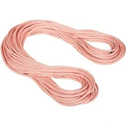 Mammut 9.9 Gym Workhorse Classic Rope 30m candy
