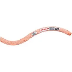 Rope Shop -Rope Shop mammut 99 gym workhorse classic rope 30m candy 2